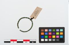 Foto von Bronzering (NHMW-PRAE-024297)